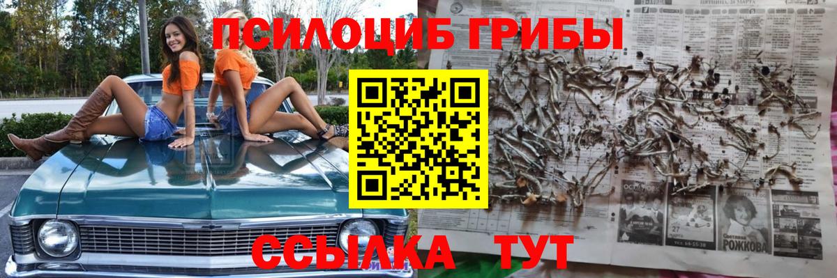 Барнаул  Псилоцибиновые грибы Cubensis  Вход с VPN 